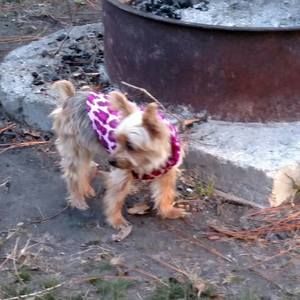 Meet your Posher, Cheryl